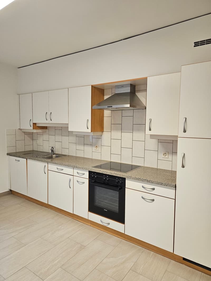 modern kitchen with white cabinets, granite countertops, integrated appliances, wooden flooring