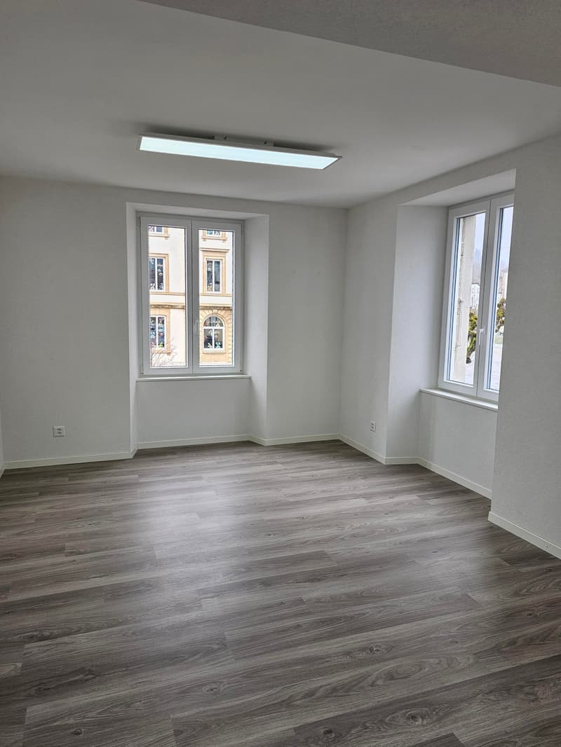 empty room, wooden floor, white walls, two windows, ceiling light