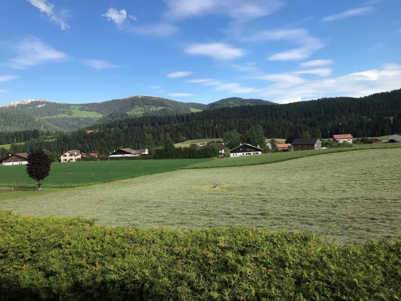 green field, several houses, mountains, trees, bushes, clear blue sky