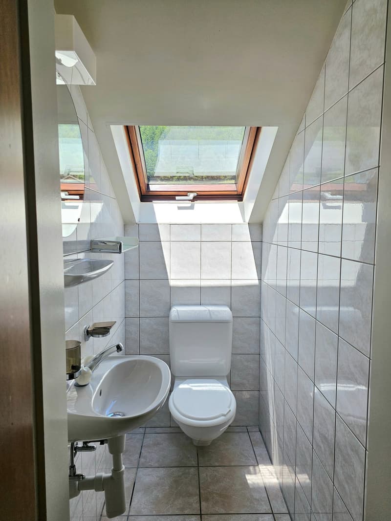 Bathroom with white tiles, toilet, sink, and skylight window