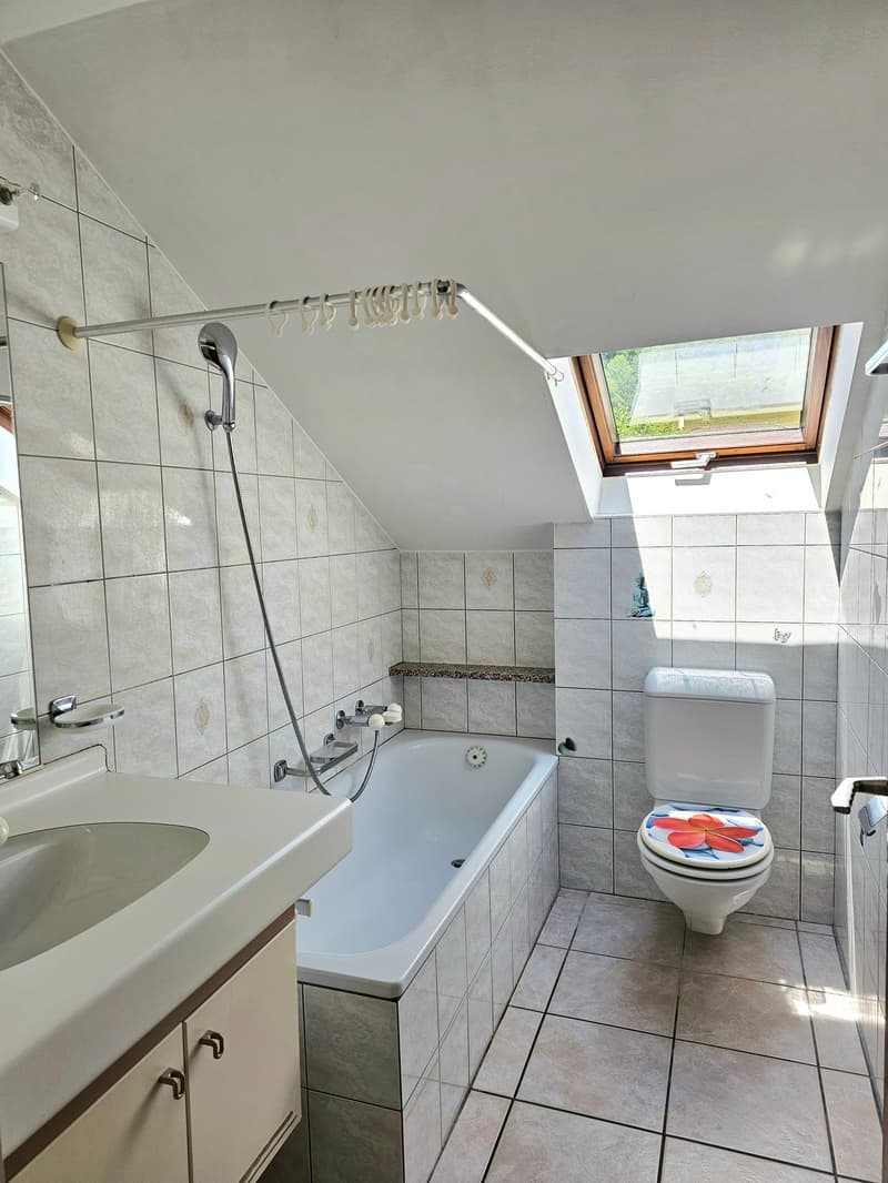 Bathroom with tiled walls and floor, bathtub, shower, toilet, vanity sink, and a skylight window