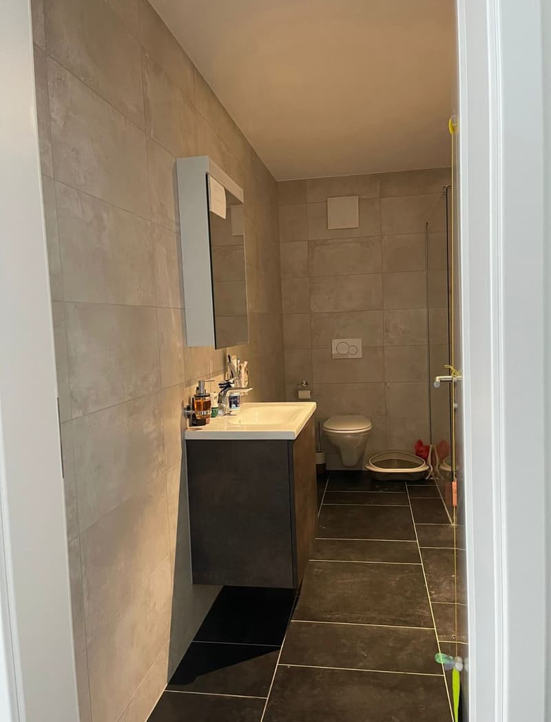 À découvrir sans tarder : superbe appartement neuf avec jardin privatif (7)