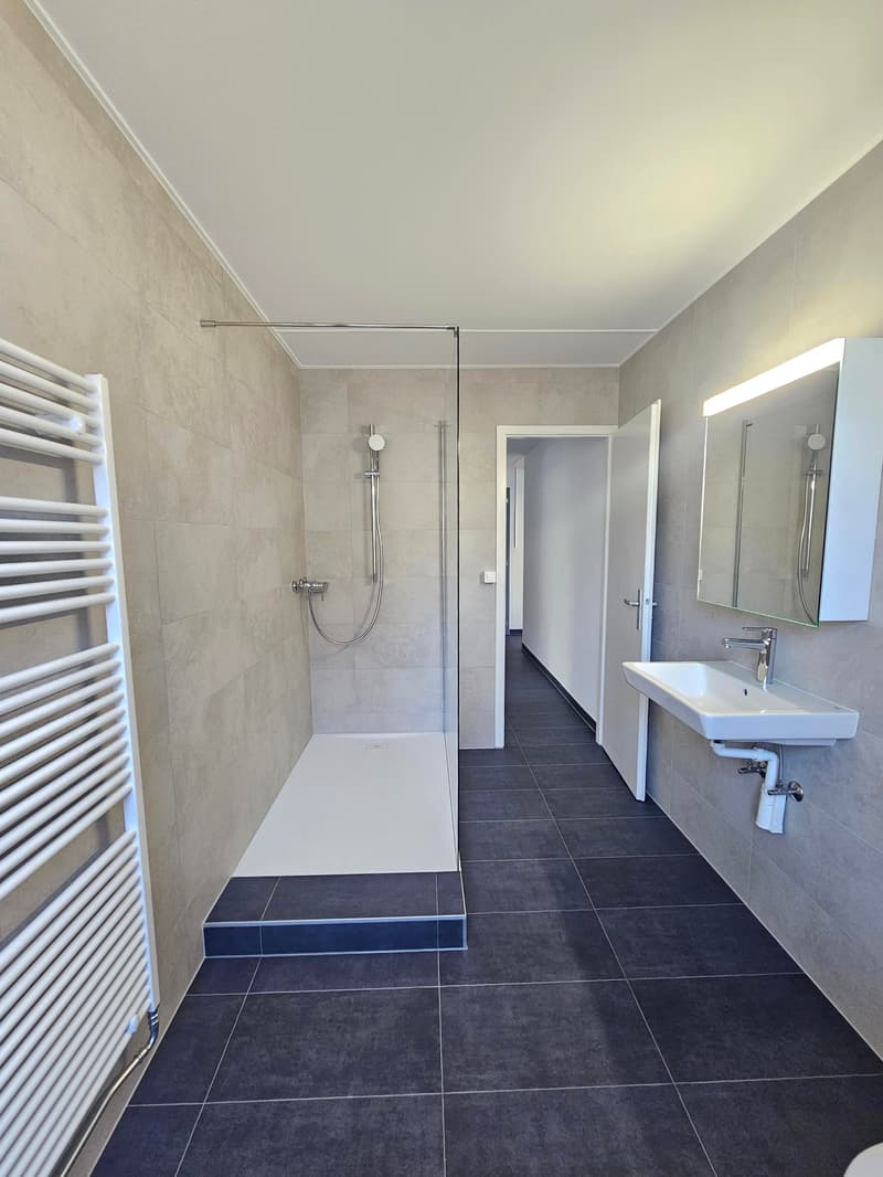 Appartement rénové de 4 pièces au centre du village (9)