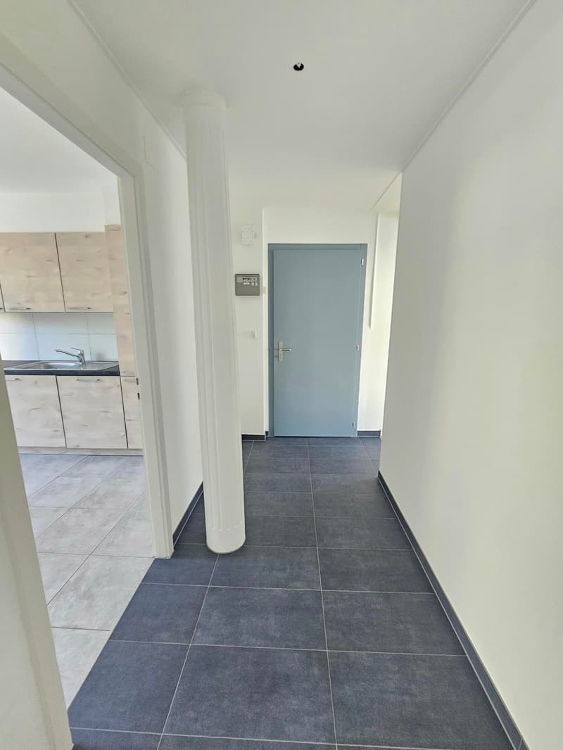 Appartement rénové de 4 pièces au centre du village (3)