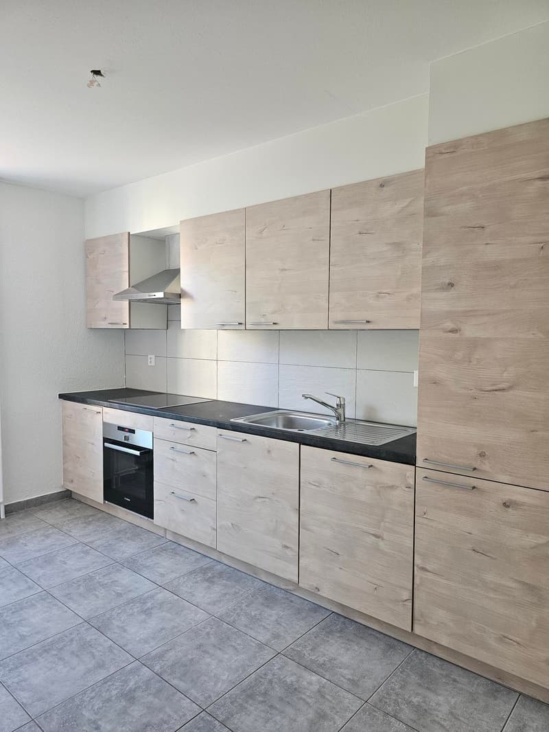 Appartement rénové de 4 pièces au centre du village (2)