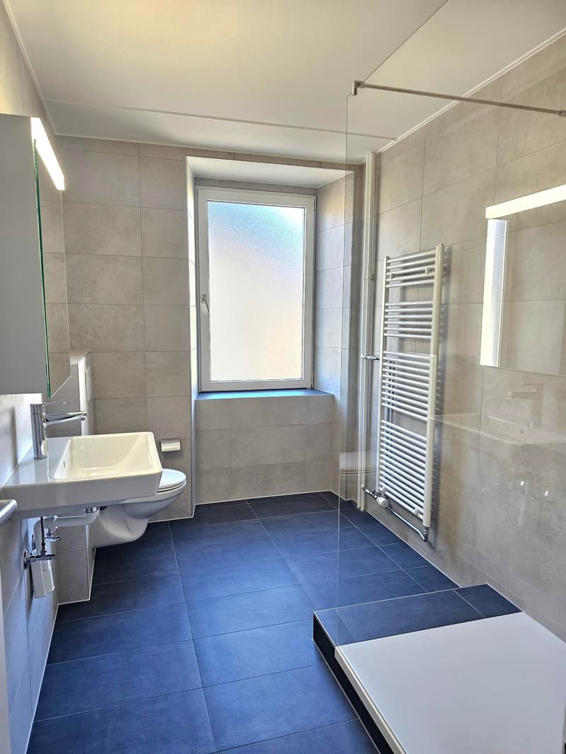 Appartement rénové de 4 pièces au centre du village (10)