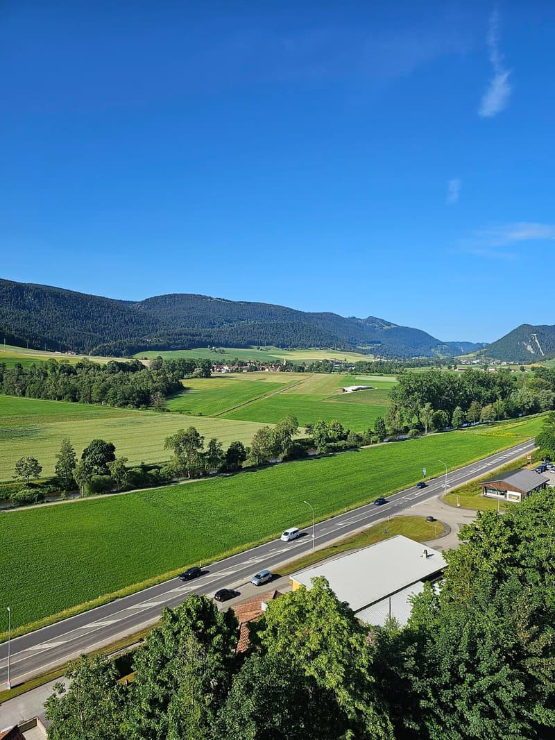 En cours de rénovation - Appartement de 4 pièces avec balcon et jolie vue (2)