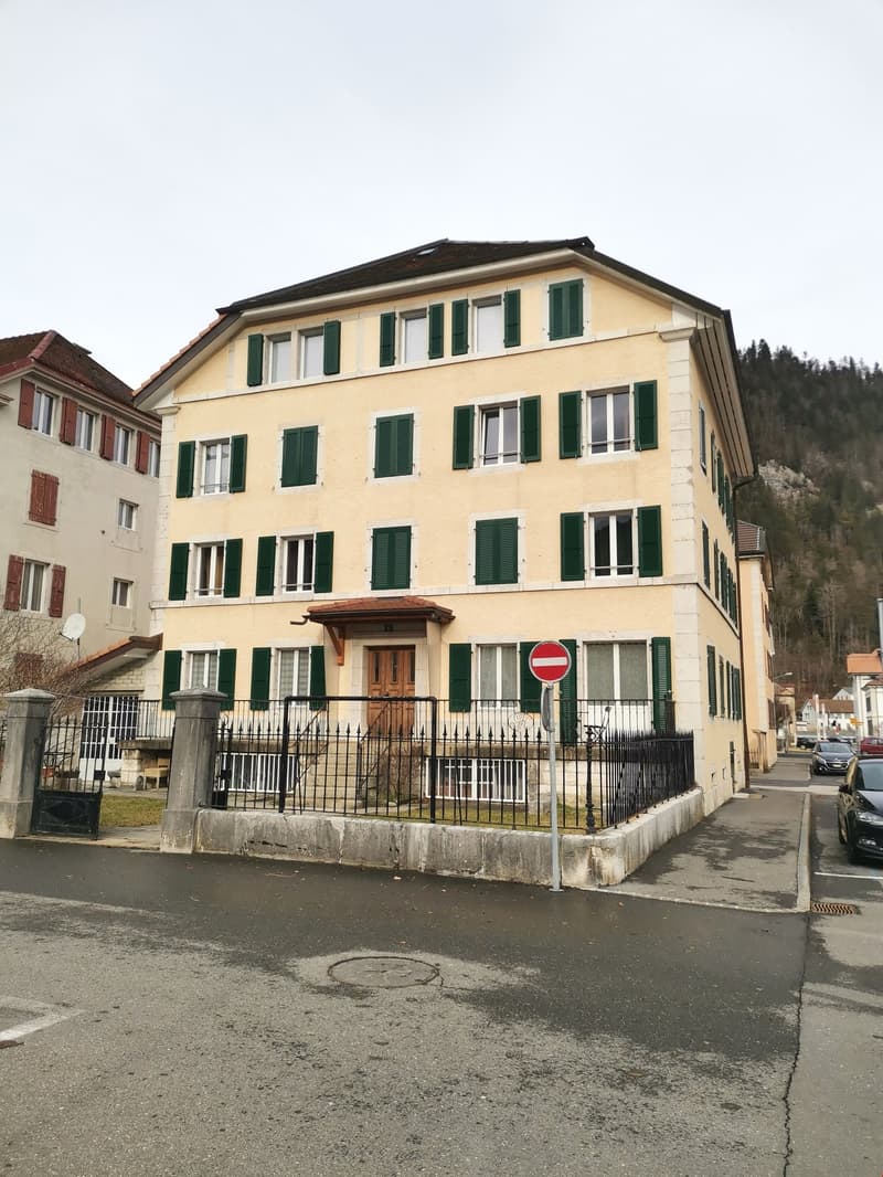 En cours de rénovation - Charmant 2.5 pièces au centre du village (9)