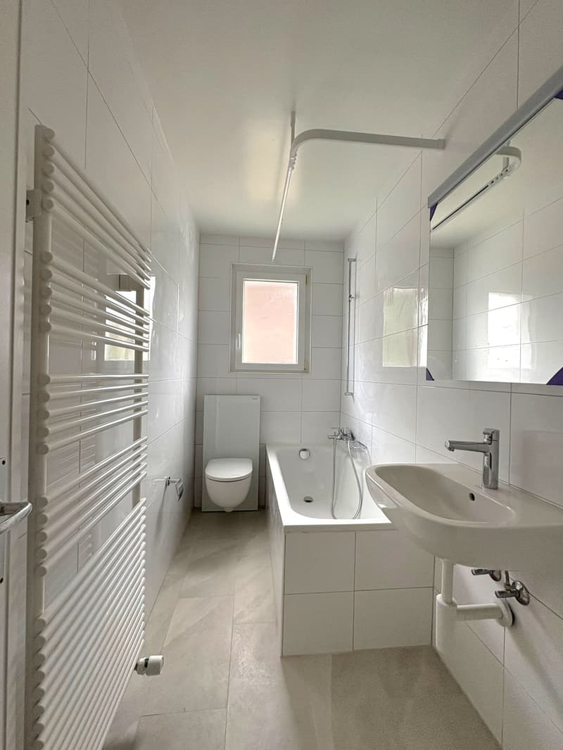 Appartement de 3 pièces rénové avec grand balcon (10)