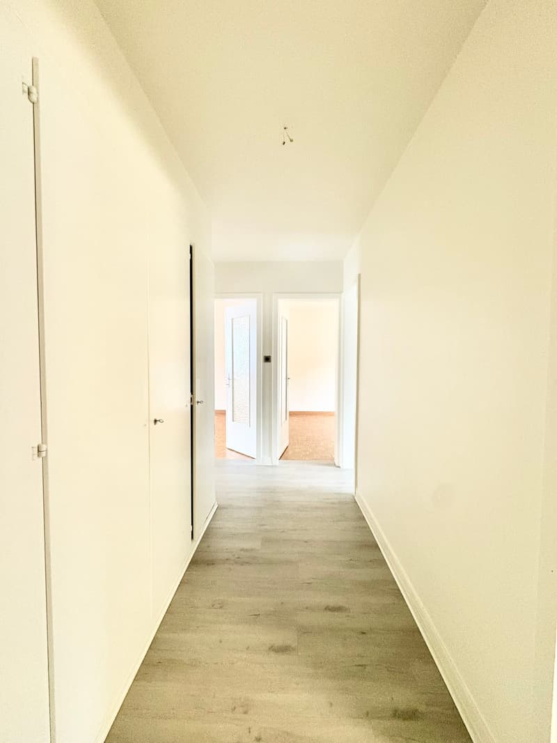 Appartement de 3 pièces lumineux avec grand balcon (5)