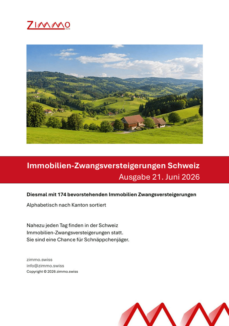 Grosszügiges 10-Zimmer-Einfamilienhaus in Neuwilen - die Gelegenheit! (8)