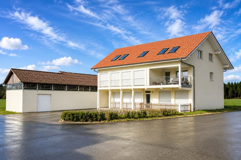 Charmante 4.5-Zimmer-Dachwohnung in Weier im Emmental (2)