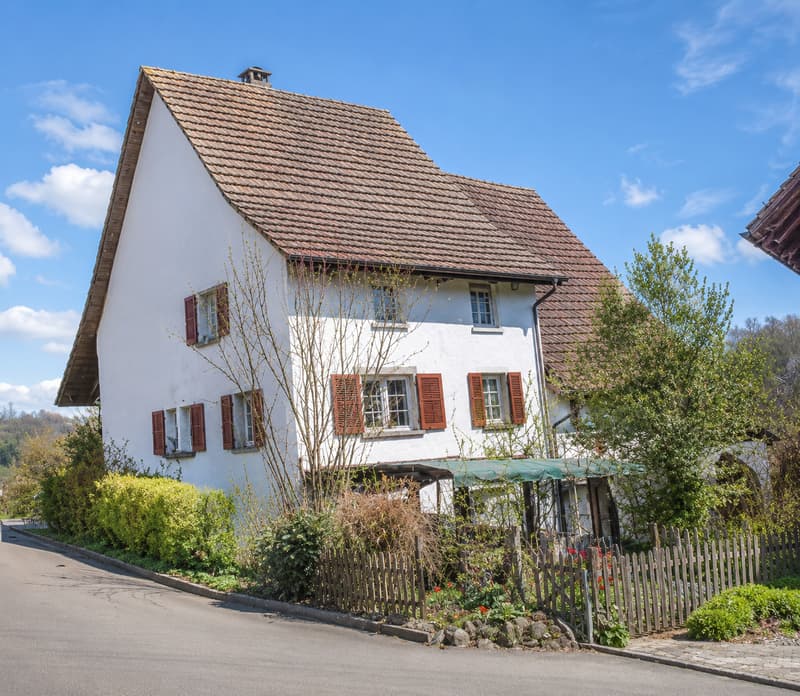 Charmantes Einfamilienhaus in Veltheim (1)