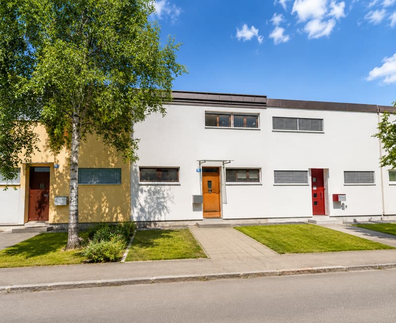 Charmantes 3.5-Zimmer-Reiheneinfamilienhaus in Basel – die Gelegenheit! (1)