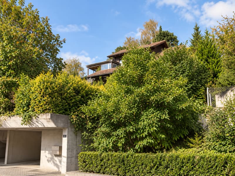 Charmantes Einfamilienhaus in ruhiger Lage in Beinwil am See (1)