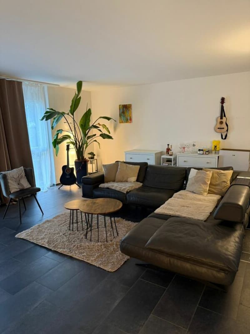 Moderne, helle und attraktive 4,5-Zi. Wohnung (1)