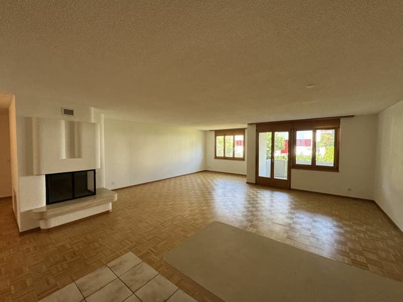 Charmante 3.5-Zi.-Wohnung in Menziken AG - Ihr neues Zuhause (1)
