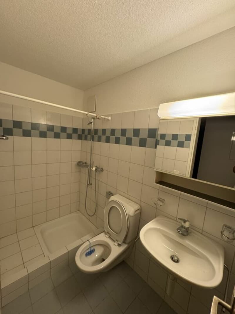 Charmante 3.5-Zi.-Wohnung in Menziken AG - Ihr neues Zuhause (9)