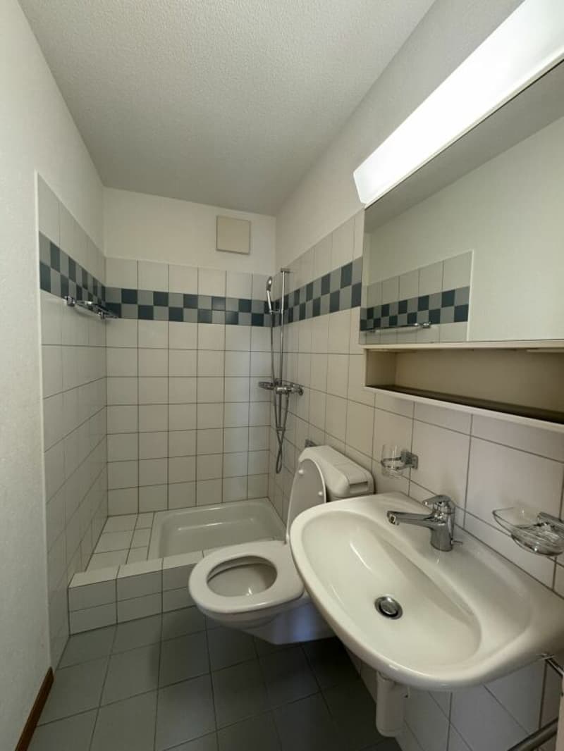 Wohnen mit Charme - 4.5-Zi. Wohnung mit Cheminée (8)