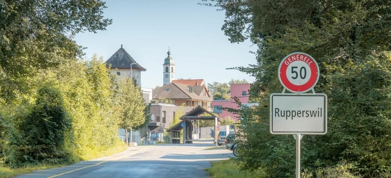 Attraktive Wohn- und Gewerbeliegenschaft an zentraler Lage (2)