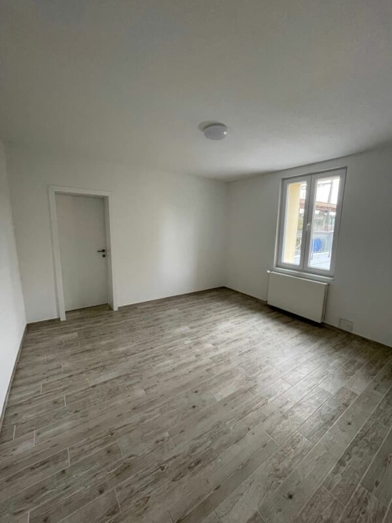 Attraktive Wohn- und Gewerbeliegenschaft an zentraler Lage (3)
