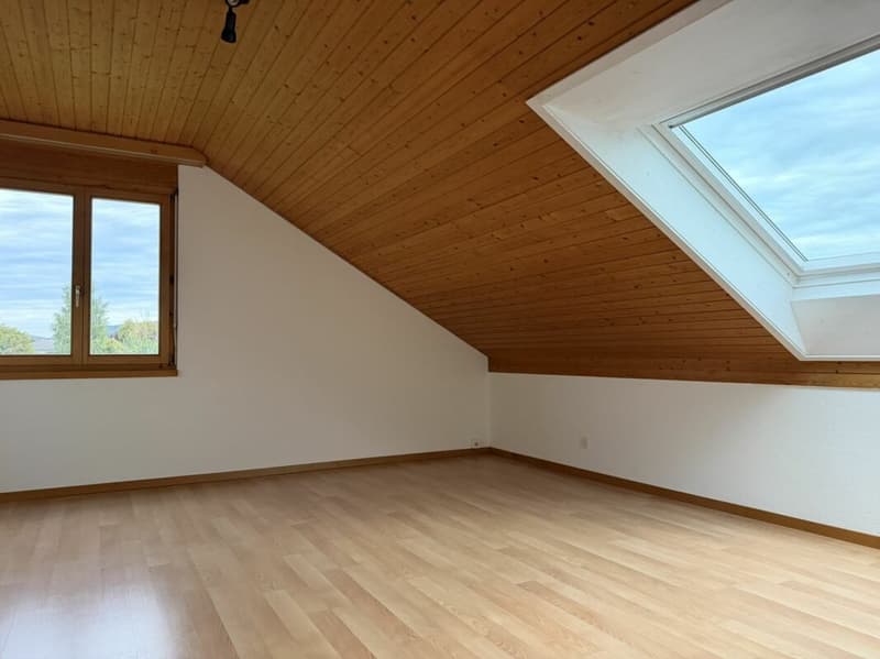 Charmante 3.5-Zi.-Dachwohnung mit Cheminée in Menziken AG (9)