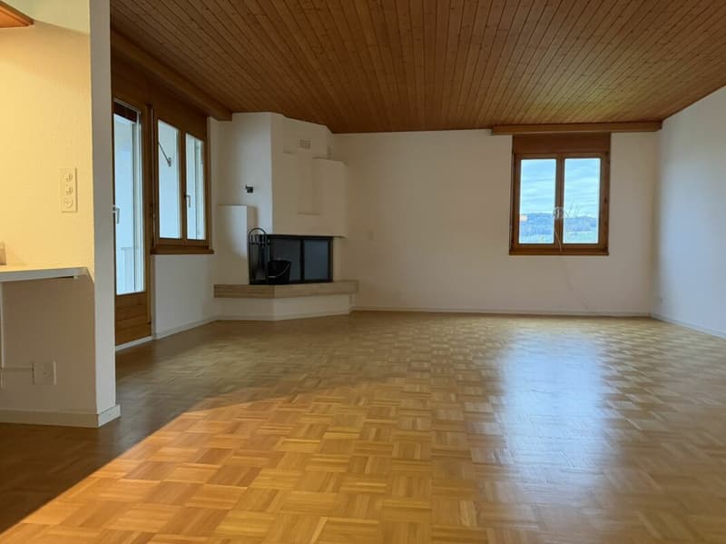 Charmante 3.5-Zi.-Dachwohnung mit Cheminée in Menziken AG (3)