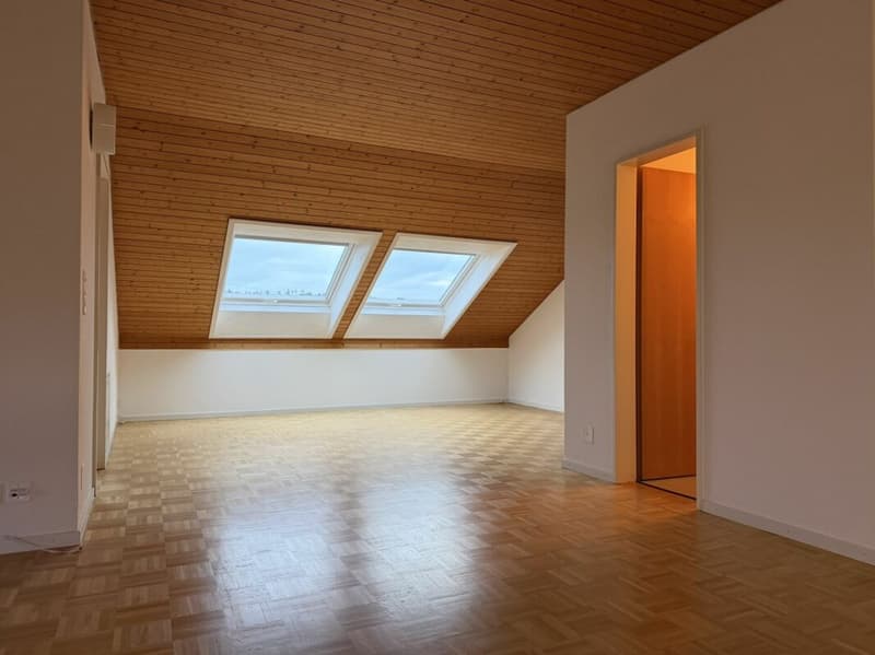Charmante 3.5-Zi.-Dachwohnung mit Cheminée in Menziken AG (6)