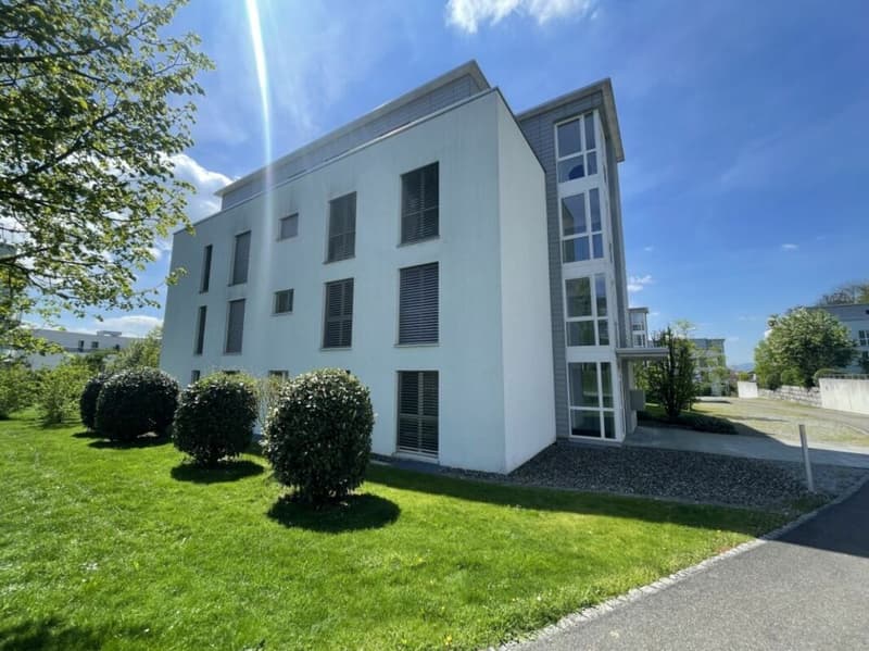 Moderne, helle und grosszügige 4,5-Zi. Wohnung in Niederrohdorf AG (1)