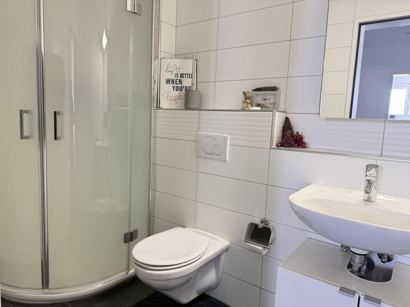 Moderne, helle und grosszügige 4,5-Zi. Wohnung in Niederrohdorf AG (10)