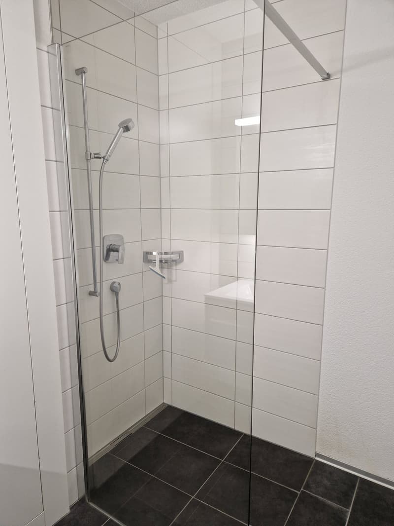 Moderne 2.5-Zi-Dachwohnung in Schwarzenburg als Wohnung für Eigenbedarf oder Kapitalanlage geeignet (10)