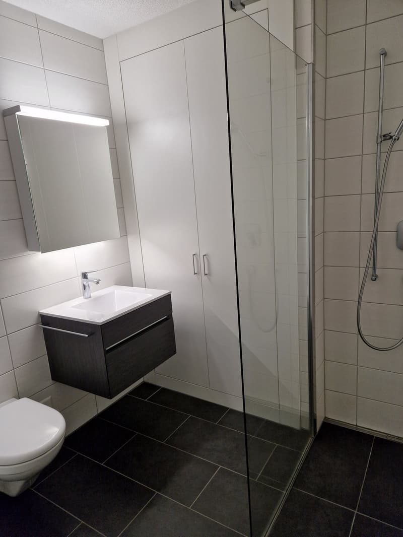Moderne 2.5-Zi-Dachwohnung in Schwarzenburg als Wohnung für Eigenbedarf oder Kapitalanlage geeignet (11)