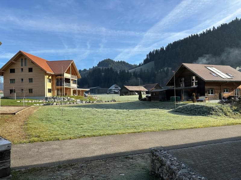 Newly built Trub - Semi-detached house in a quiet and natural location with private carport (3)