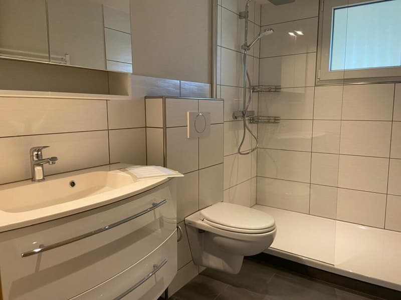 Leben wie im Einfamilienhaus - renovierte 5.5-Zi-Maisonettewohnung mit herrlichem Umschwung (ca. 600 m2) (5)