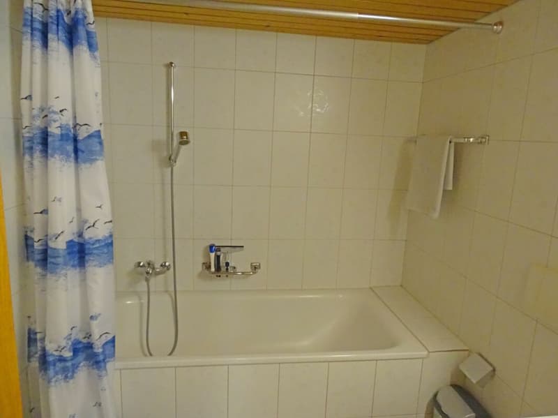 Grosszügige und charmante 1-Zimmer-Wohnung (7)