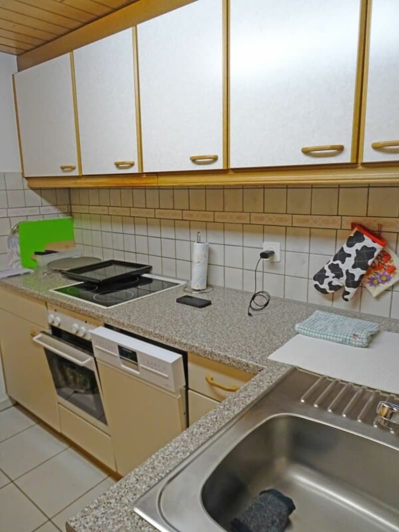 Grosszügige und charmante 1-Zimmer-Wohnung (5)