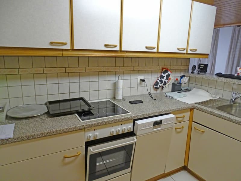 Grosszügige und charmante 1-Zimmer-Wohnung (4)