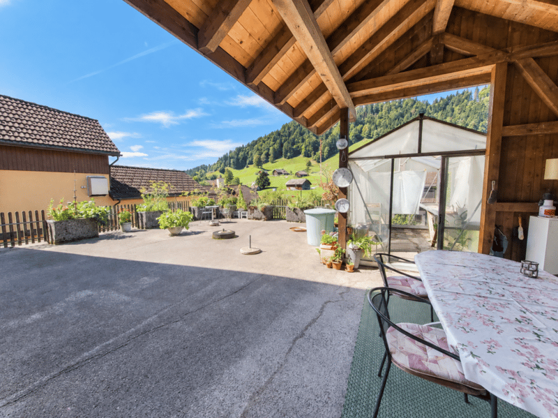 1. OG: Riesige Terrasse hinter dem Haus mit Treibhaus