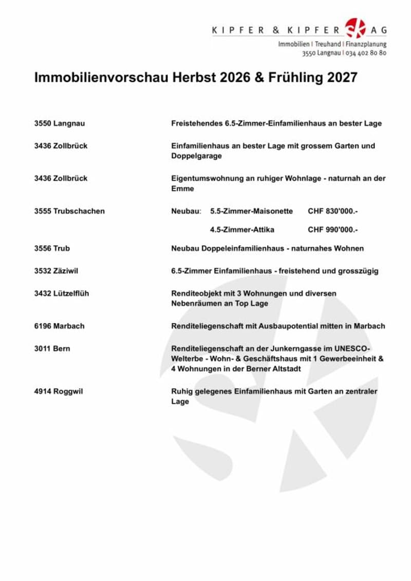 Riesige 3'027 m³ Wohn-und Gewerbeliegenschaft für Familien, Generationen, Selbstständige, Investoren (14)