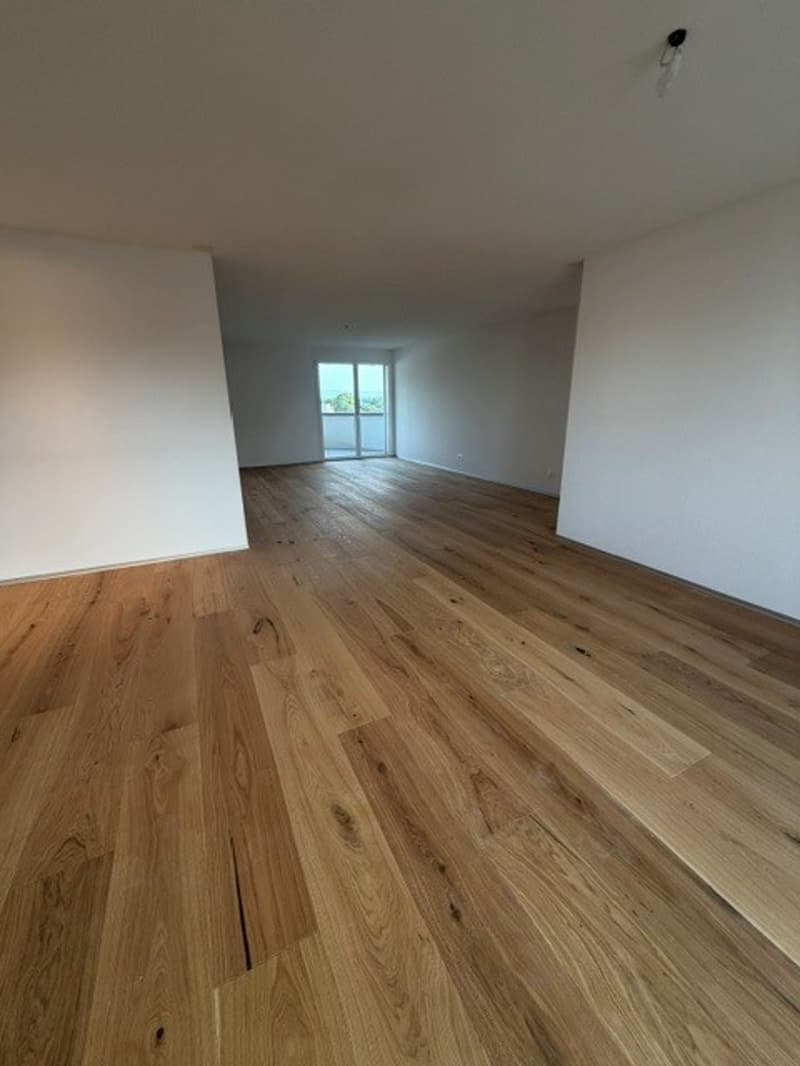 DIE LETZTE 4.5-ZIMMER WOHNUNG MIT 2 BALKONEN IM KERN VON SCHMITTEN (4)