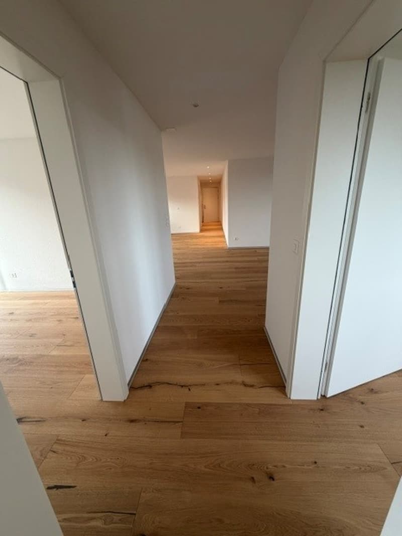 DIE LETZTE 4.5-ZIMMER WOHNUNG MIT 2 BALKONEN IM KERN VON SCHMITTEN (8)