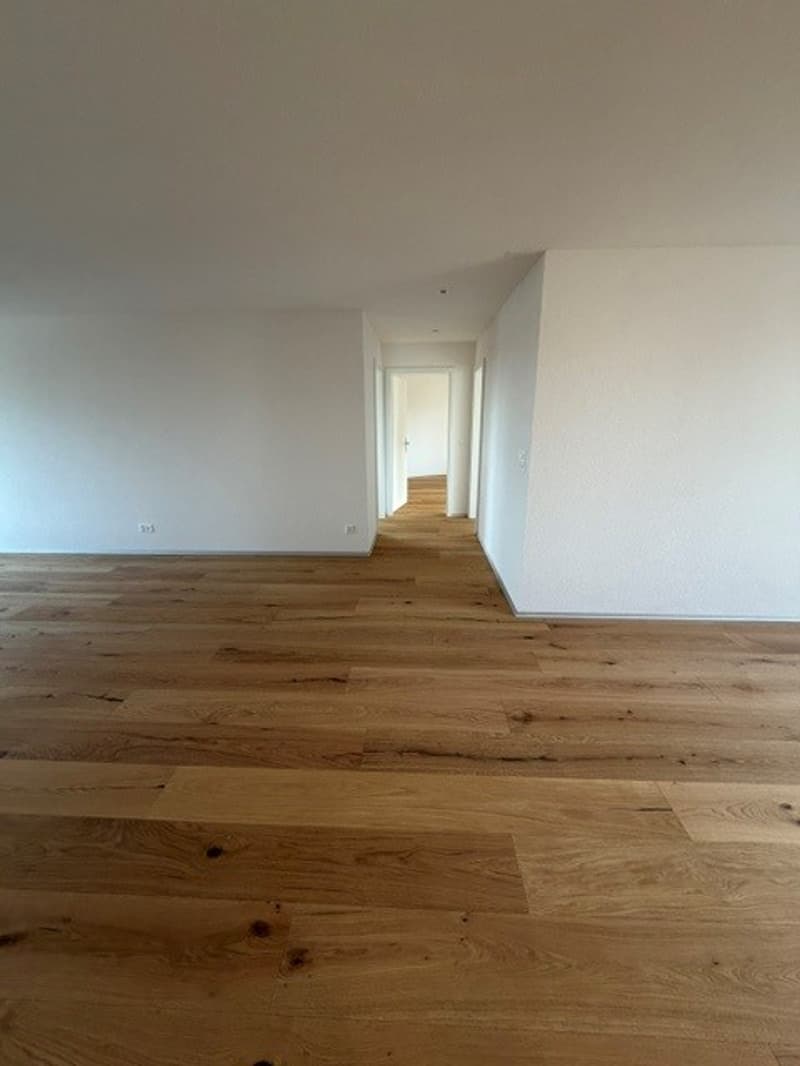 DIE LETZTE 4.5-ZIMMER WOHNUNG MIT 2 BALKONEN IM KERN VON SCHMITTEN (5)