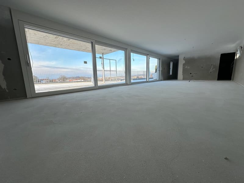Empty room, gray flooring, large windows, balcony with a metal fence, distant view