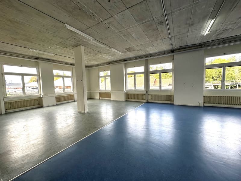 Letzte Bürofläche 164 m² mit 140m2 Lager und vielen EHP verfügbar (3)