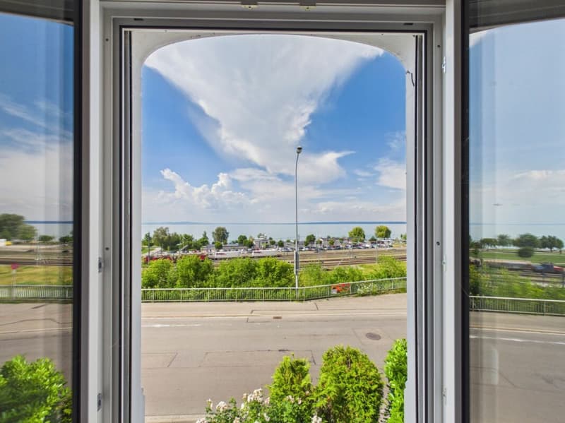 Logenplatz am Bodensee - volle Seesicht - Garten und Terrasse (21)
