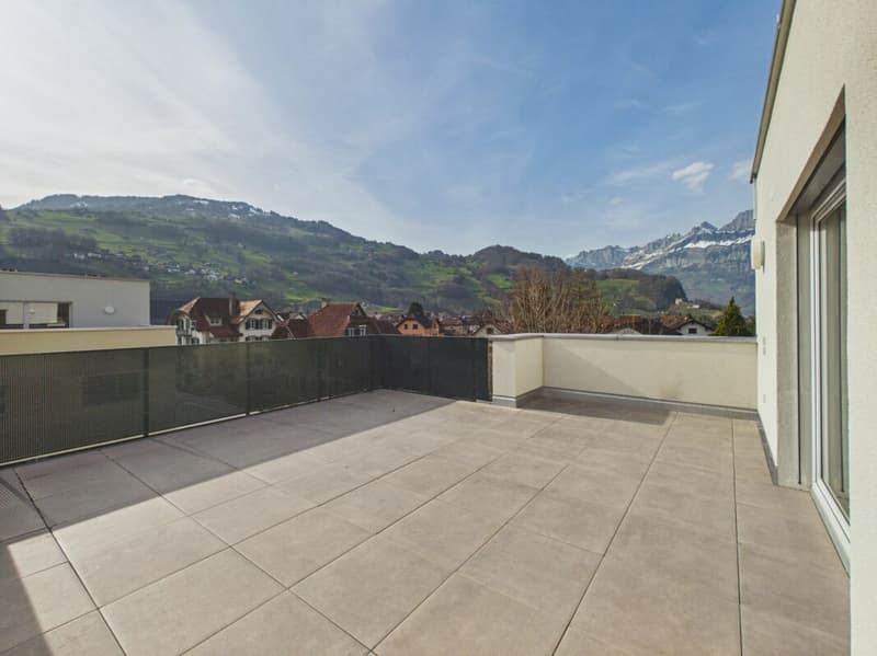 Einmalige Attika-Kaufgelegenheit - 197 m² Panoramaterrasse & 2 TG-Plätze inklusive (28)