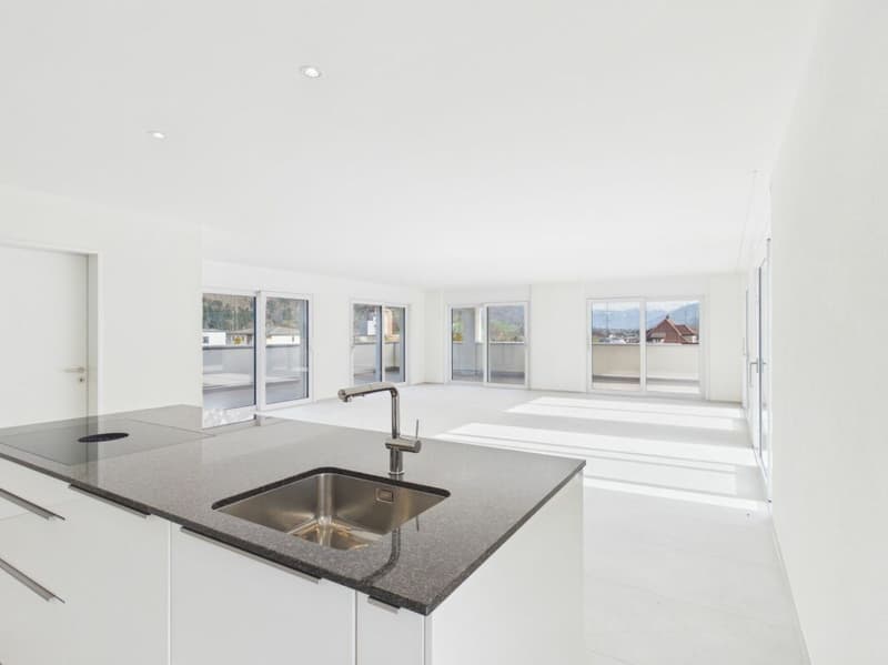 Einmalige Attika-Kaufgelegenheit - 197 m² Panoramaterrasse & 2 TG-Plätze inklusive (11)