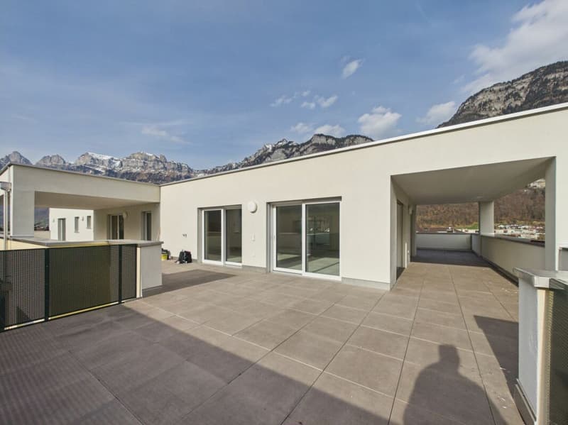 Einmalige Attika-Kaufgelegenheit - 197 m² Panoramaterrasse & 2 TG-Plätze inklusive (30)