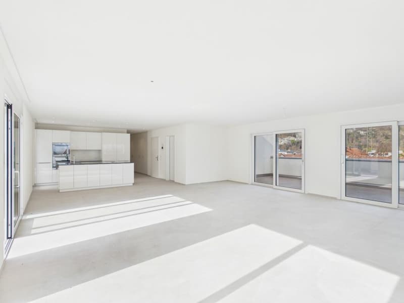 Einmalige Attika-Kaufgelegenheit - 197 m² Panoramaterrasse & 2 TG-Plätze inklusive (13)