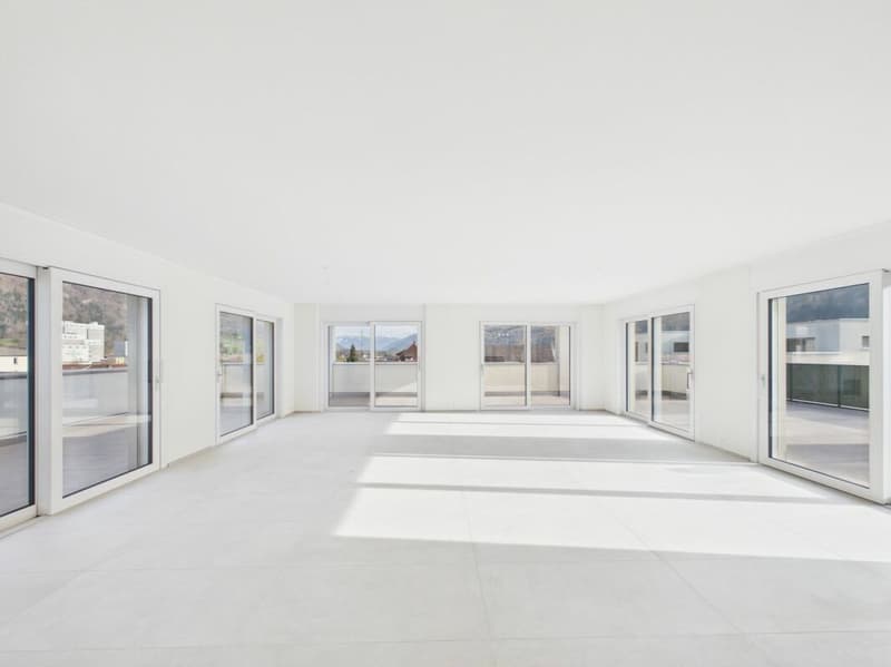 Einmalige Attika-Kaufgelegenheit - 197 m² Panoramaterrasse & 2 TG-Plätze inklusive (7)